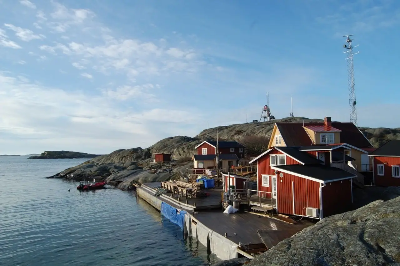 Vederøarna