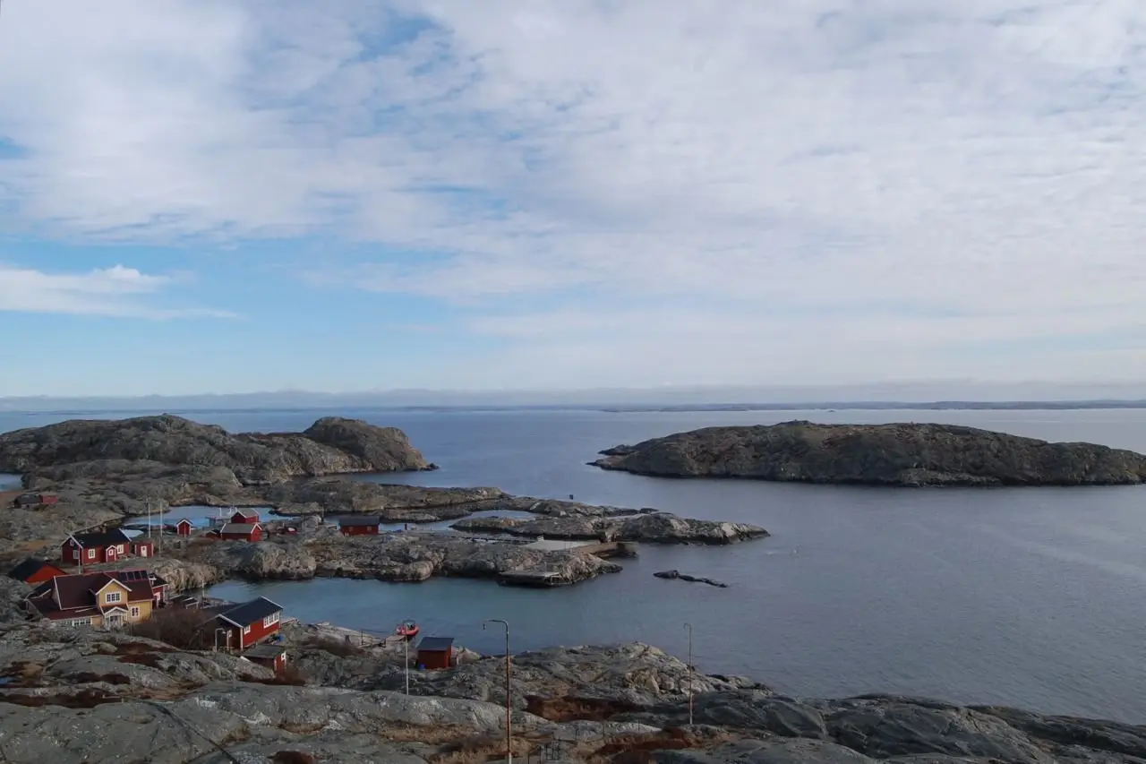 Vederøarna