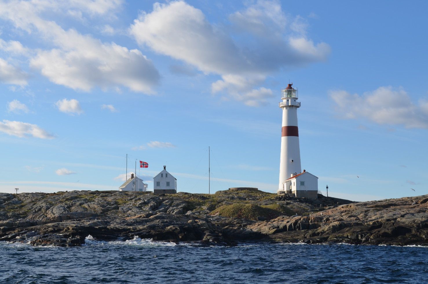 Hvitt fyr under blå himmel